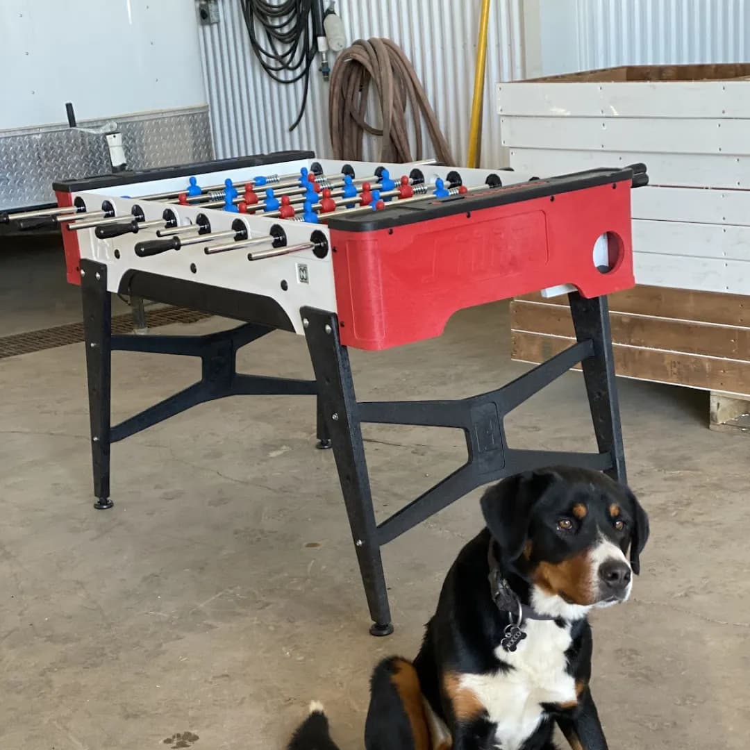 Longoni Storm Soccer F1 Outdoor Foosball Table — commercial gaming tables supplied nationwide